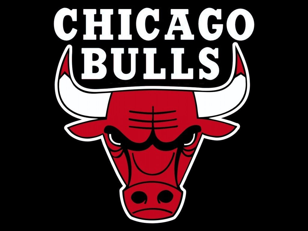 Derrick Rose Chicago Bulls Player T-Shirt by Adidas NBA Da Bulls Nwt