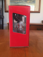 Michael Vick Atlanta Falcons Bobblehead NFL NIB Forever Collectibles Michael Vick Atlanta Falcons Legends of the Field Bobblehead by Forever Collectibles Forever Collectibles 